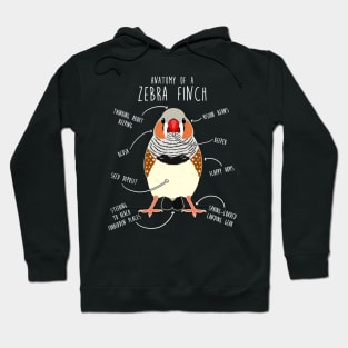 Zebra Finch Anatomy Hoodie